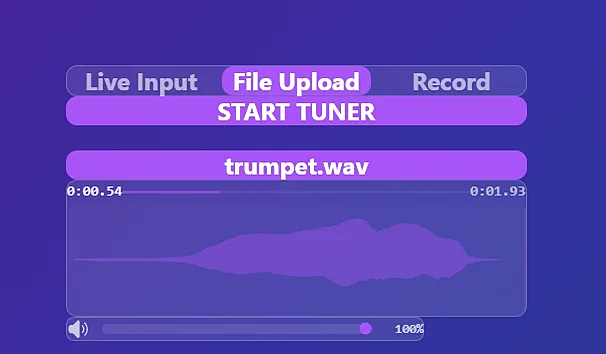 IREM Tuner app, file upload and waveform